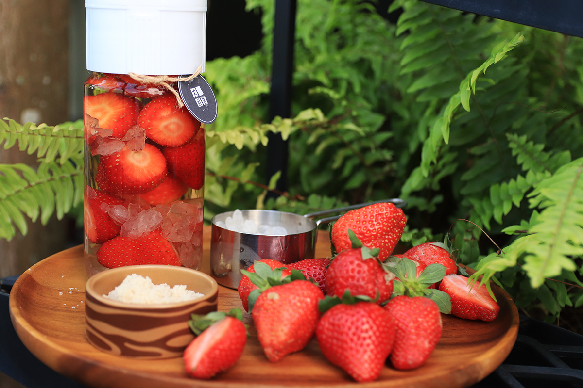 草莓酒/草莓醋 DIY組 - 可釀製兩罐